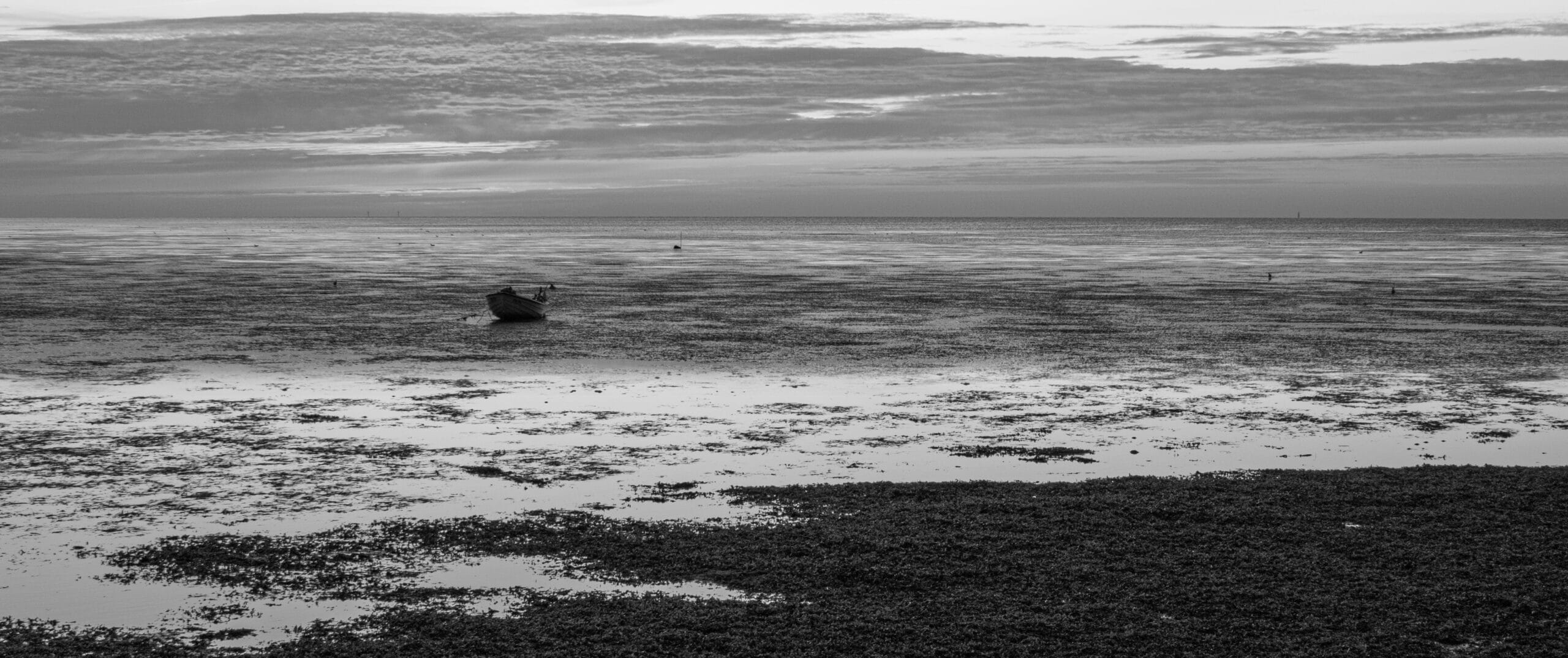 img 3278 edit 2
