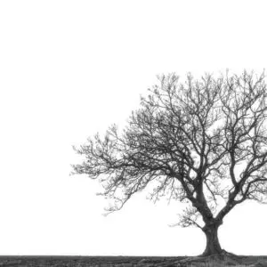 minimalistisk bnw foto helt alene
